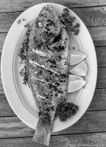Southern Spice Grilled Fish