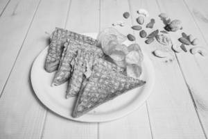 Plain Veg Sandwich
