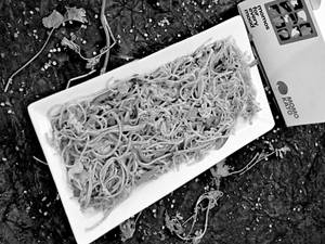Vegetable chowmein 