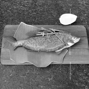 Pepper Fish