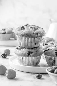 Assorted Muffins