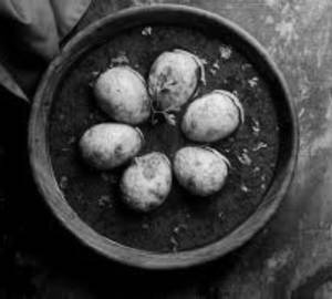 Egg Masala