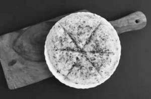 Veg Cheese Pizza