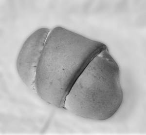 Veg Roll