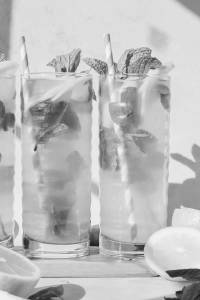 Spicy Lemonade Mojito
