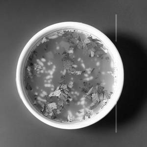 Lemon Coriander Soup