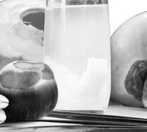 Tender Coconut Nungu