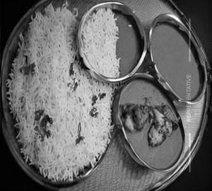 Jeera Rice & Chicken Kosha