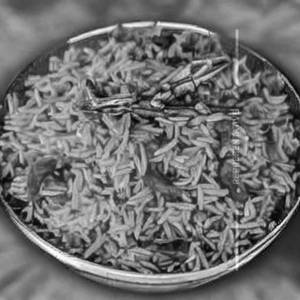 Ghee Rice