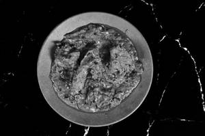 Mutton Darbari