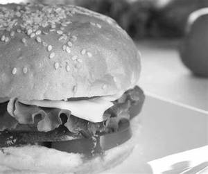 Cheese Slice Burger