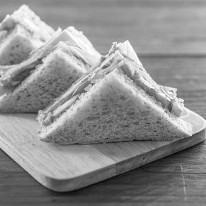Fresh Garden Sandwich