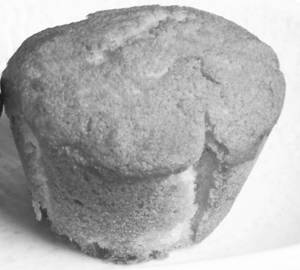 Vanilla Muffin