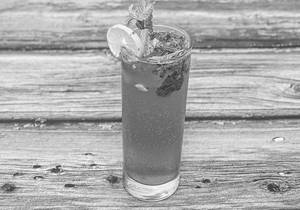 Watermelon Mint Mojito