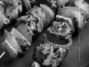 Chicken Tikka