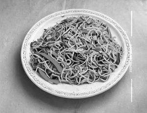 Veg Hakka Noodles