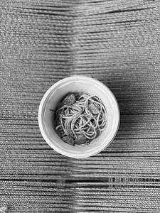 Pesto Pasta