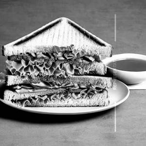 Special Tofu Sandwich
