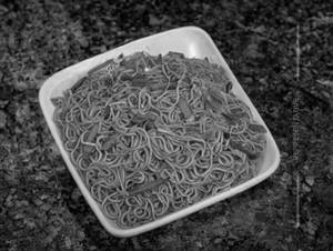 Haka Noodles