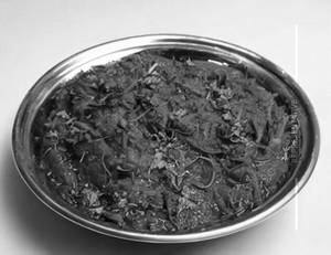 Sev Bhaji