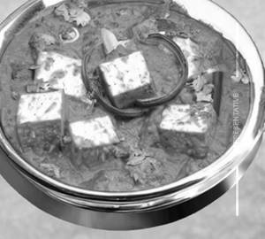 Paneer Masala