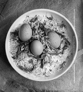 Egg Biryani