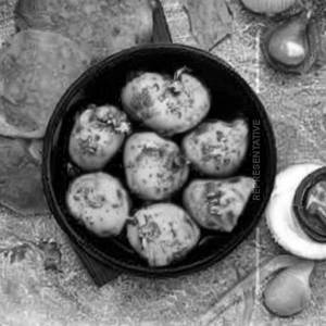 Dum Aloo
