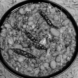 Dal Chawal Mix