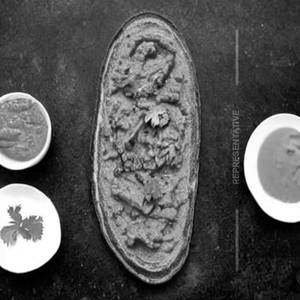 SCHEZWAN MASALA TOAST