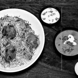 Chicken Tikka Biryani
