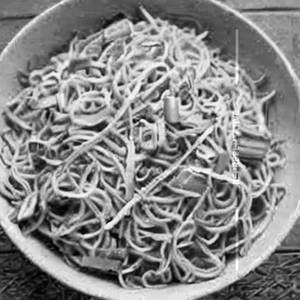 Paneer Hakka Noodles