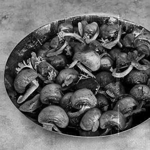 Stuff Mushroom