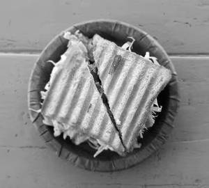 Veg Sandwich