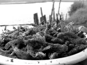 Netholi Fry