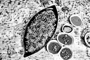 Veg Manchurian Fried Rice
