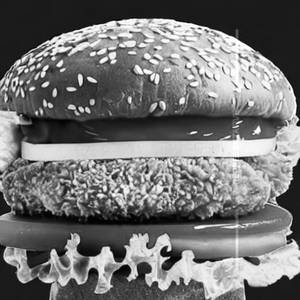 Chicken Crispy Burger Cheese