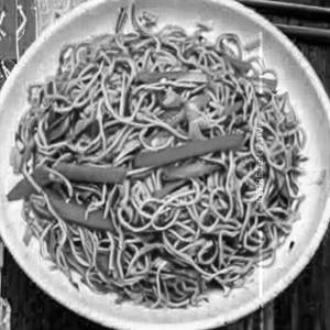 Veg Hakka Noodles