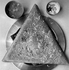 Cheese Plain Dosa