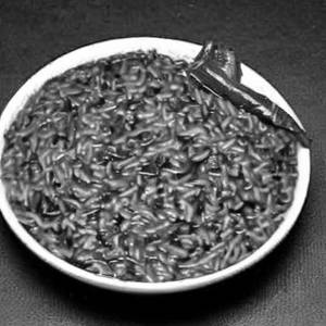 Palak Rice