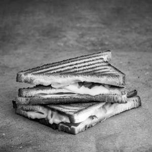 Cheese Sandwich