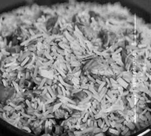 Chicken fried rice                                                   