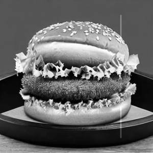 Soya Burger