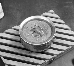Chicken Shahi Korma