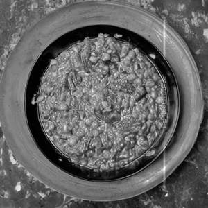 Palak Chana Rice Mixed