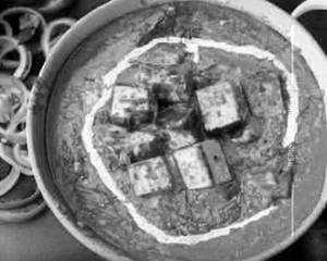 Shahi Paneer