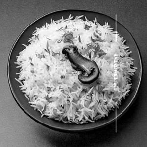 Mushroom Schezwan Rice