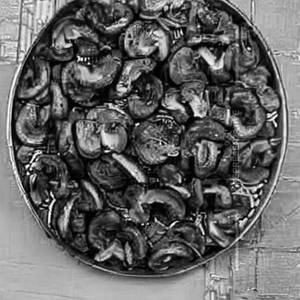 Bhatti Mushroom