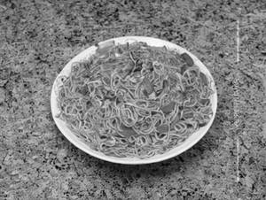 Sezchwan noodles