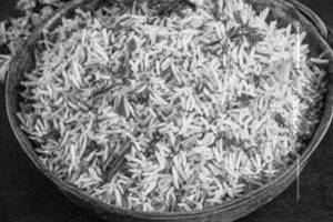 Kushka Rice