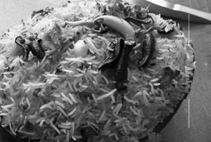 Mushroom biryani